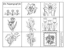 Tulpen-Leporello.pdf